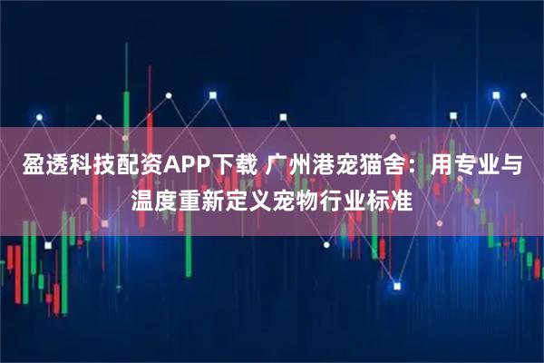 盈透科技配资APP下载 广州港宠猫舍：用专业与温度重新定义宠物行业标准