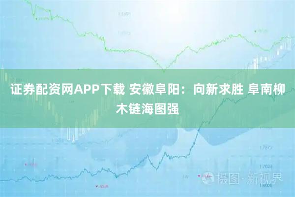 证券配资网APP下载 安徽阜阳：向新求胜 阜南柳木链海图强